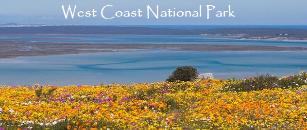 west coast national park