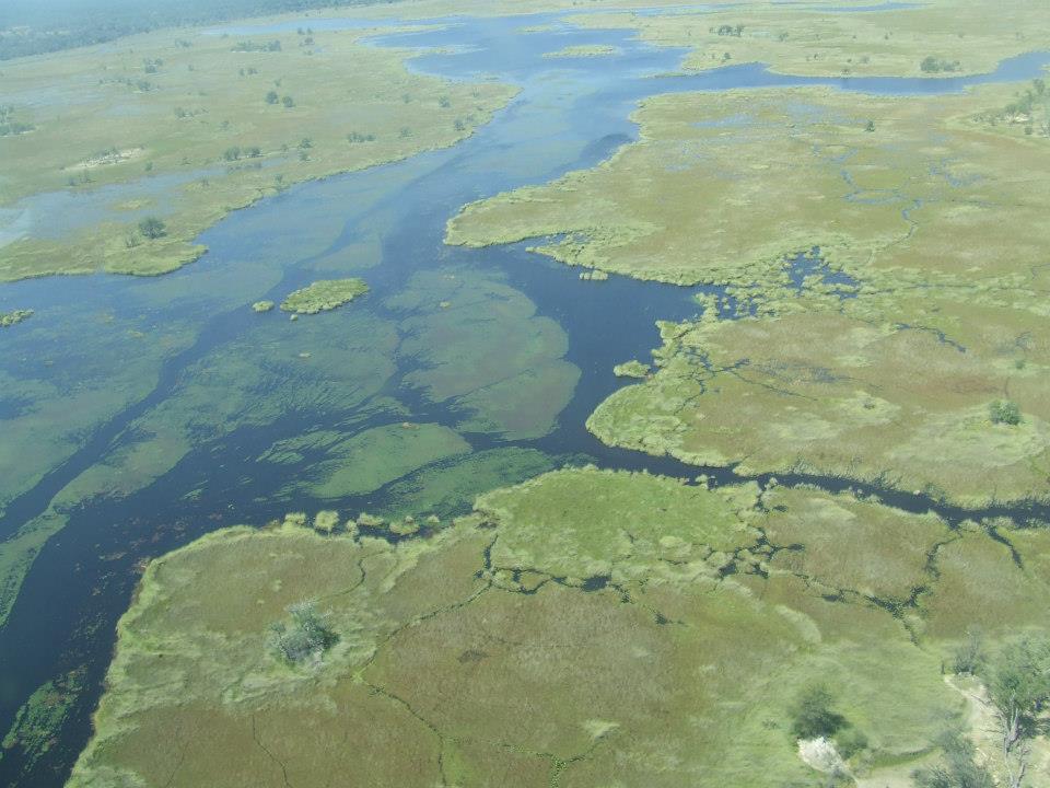Okavango Delta Aerial view